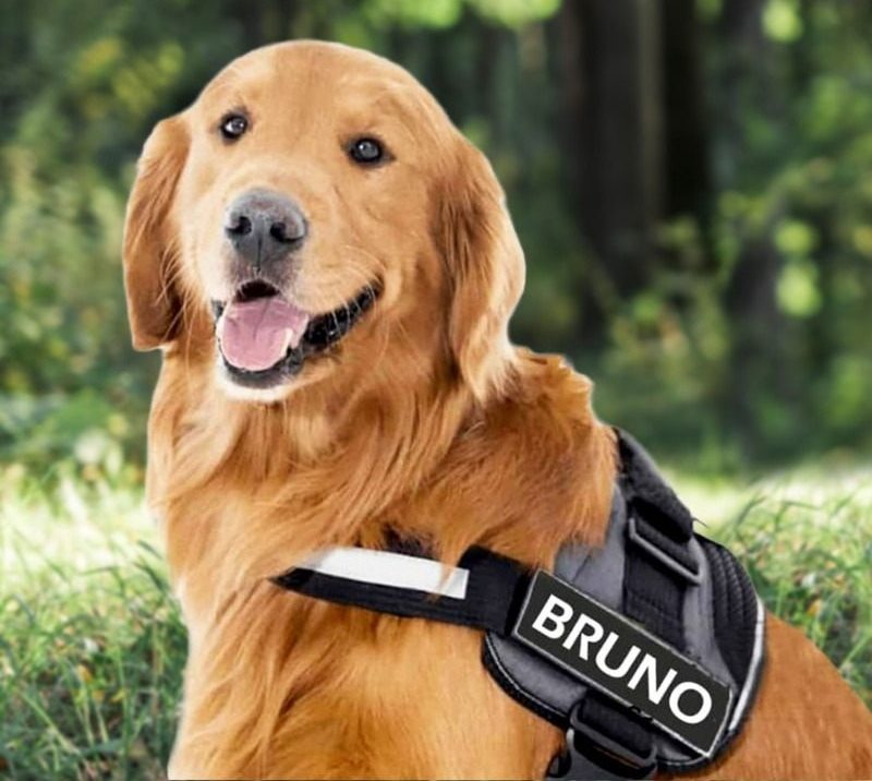 NUVEXA™️- CUSTOM FIT NO-PULL DOG HARNESS