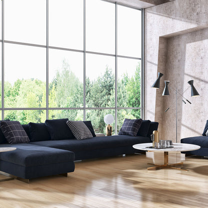 NUVEXA™️- PLATINUM FILM