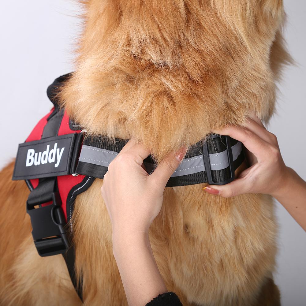 NUVEXA™️- CUSTOM FIT NO-PULL DOG HARNESS