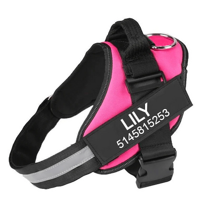 NUVEXA™️- CUSTOM FIT NO-PULL DOG HARNESS